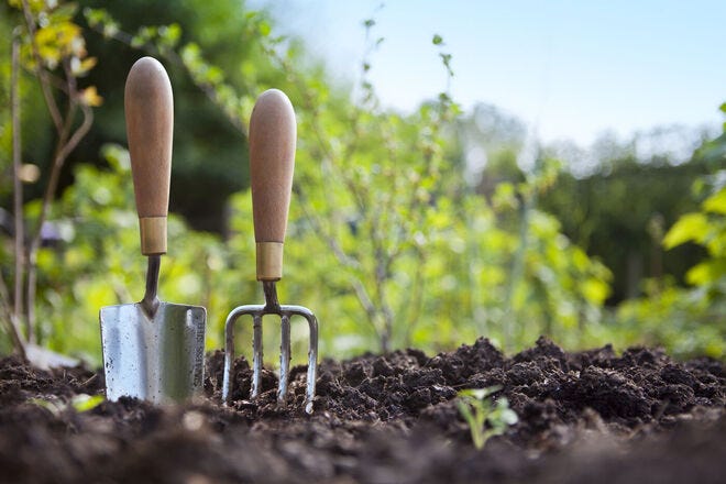 Remember the Rule of 3 when planting a garden