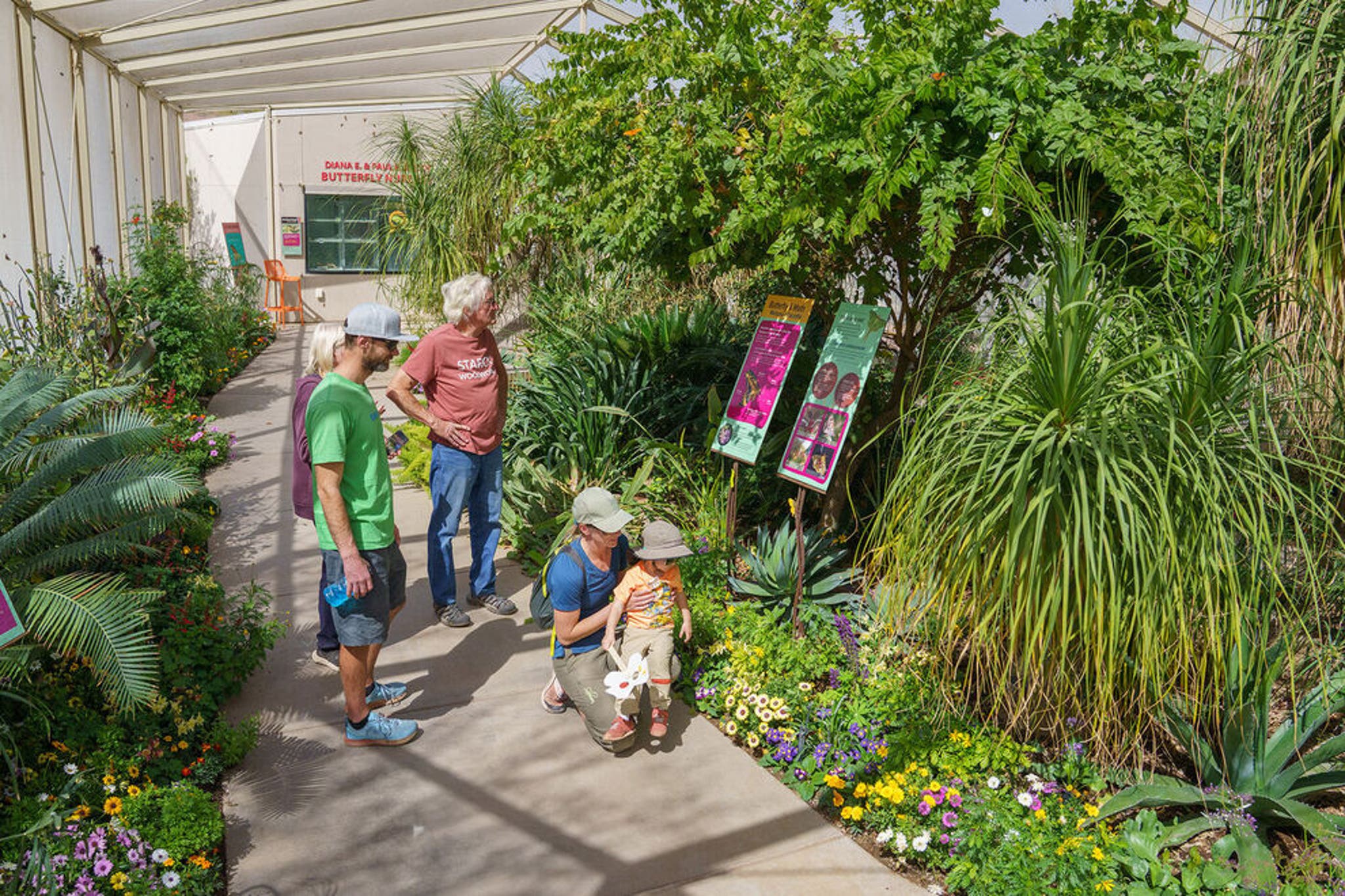 Butterfly Garden main image 1