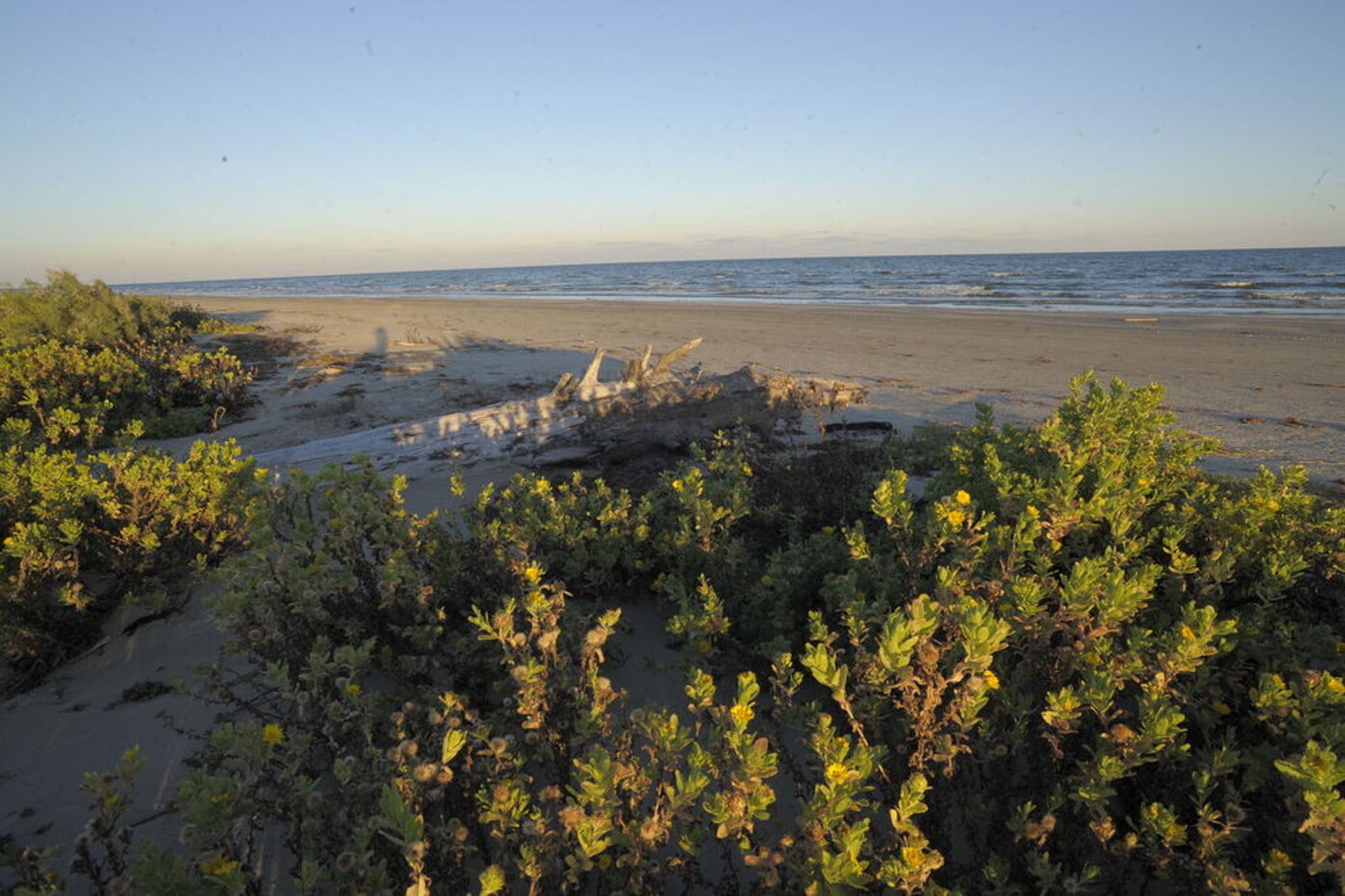 Texas Rocks Beach 10 best beaches in Texas: Explore the state's coastal gems