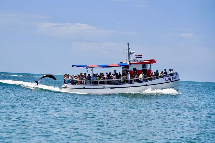 Vote for Little Toot Dolphin Adventure