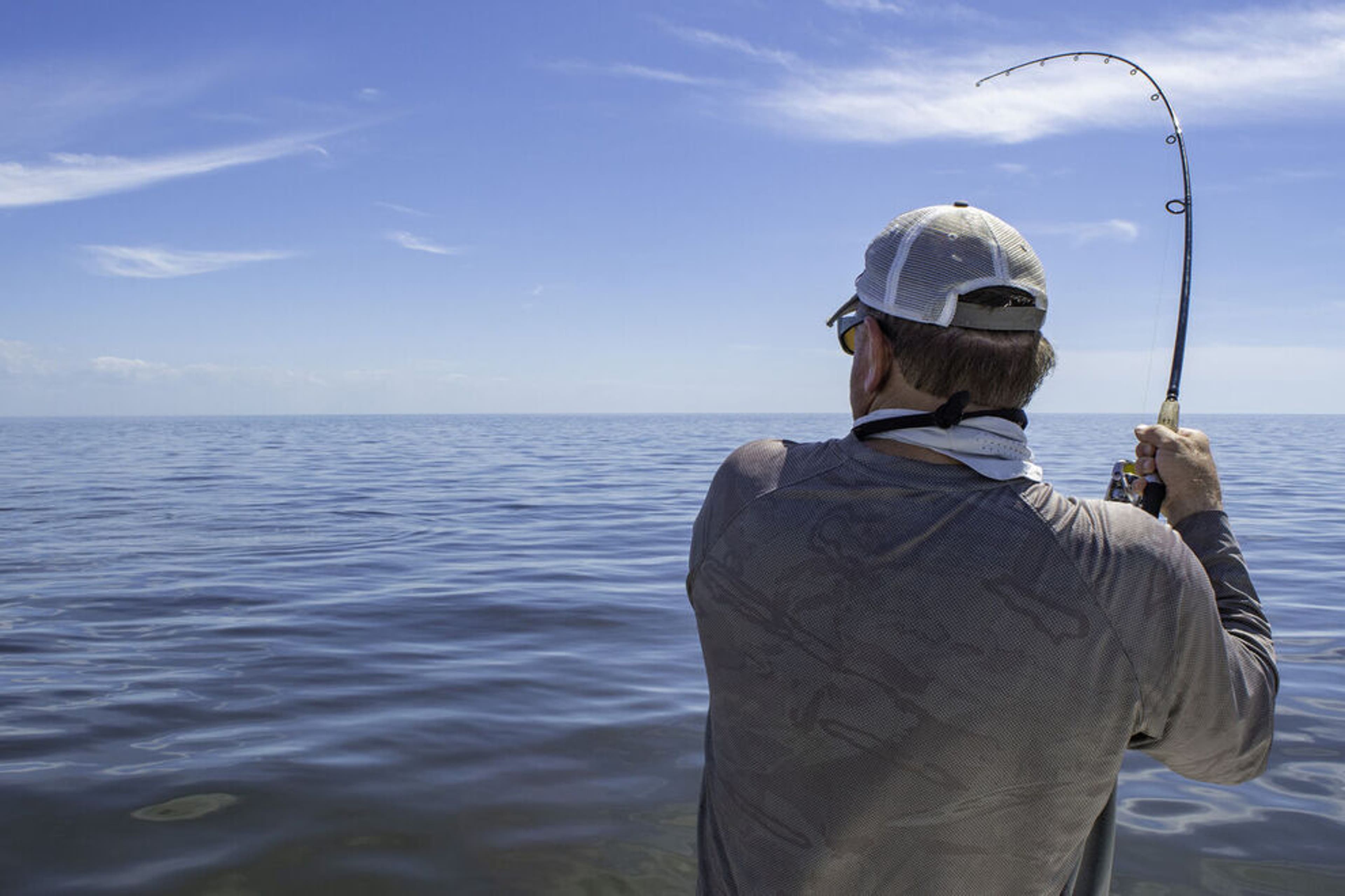 Intercoastal Safaris