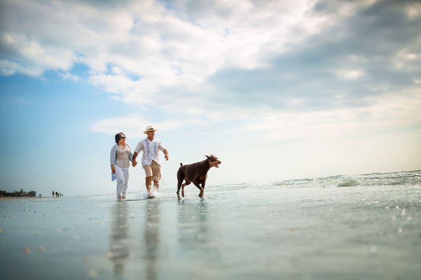 Vote for the Best Dog Friendly Beach - North Clearwater Beach