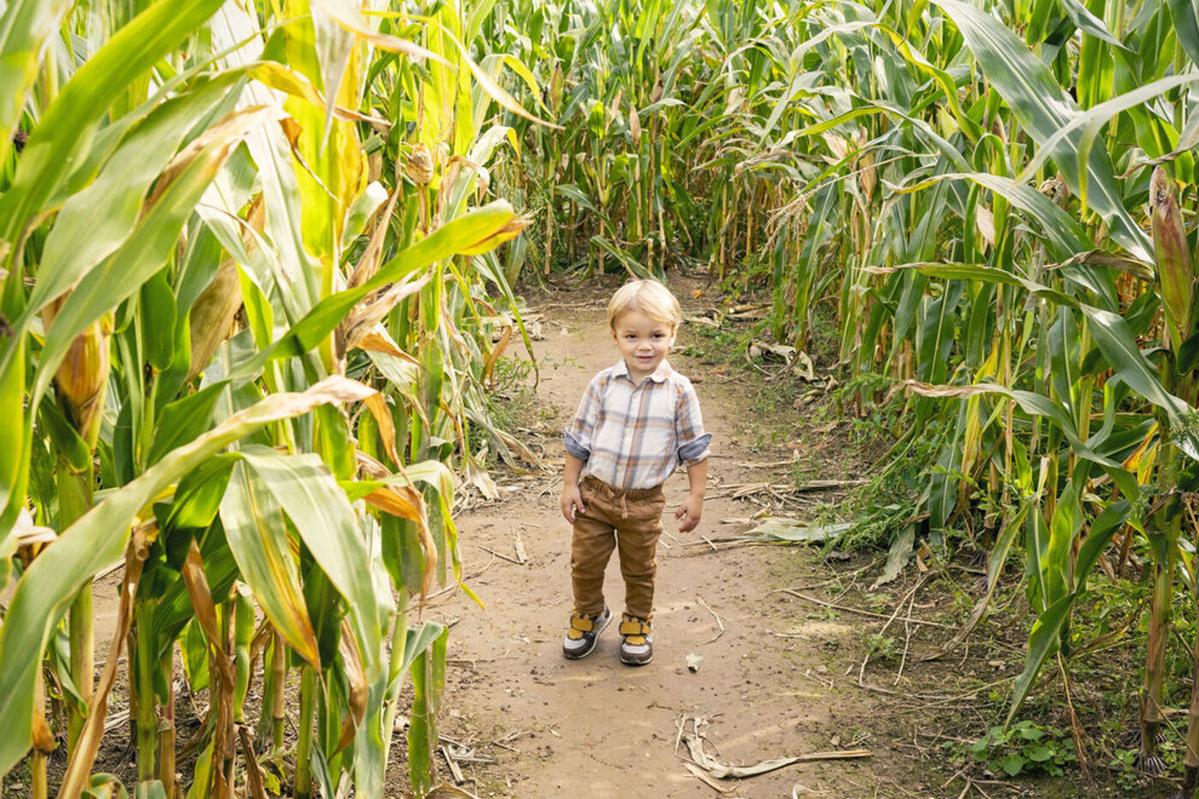 Cox Farms