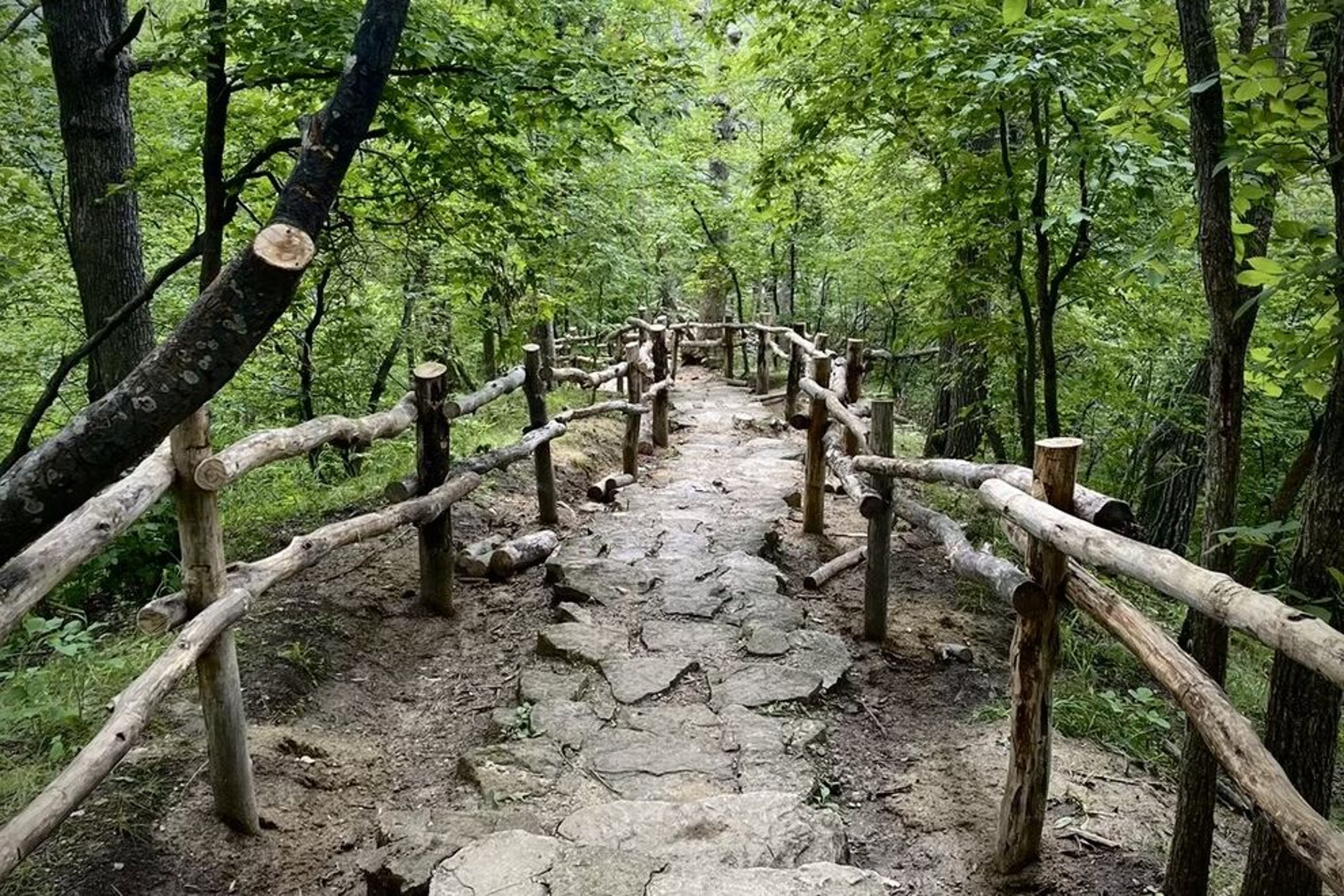 Natural stone steps help with the steep inclines at Ledges State Park