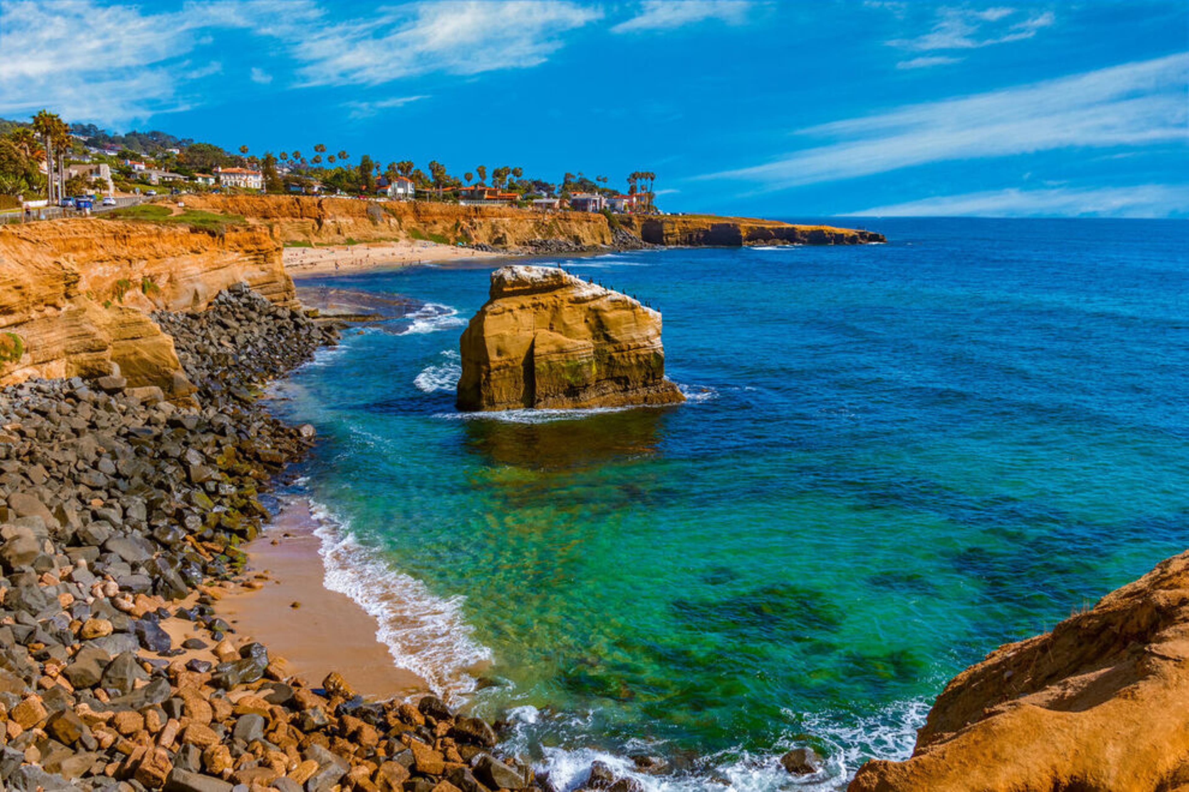 California's massive kelp forests are a huge attraction for scuba divers