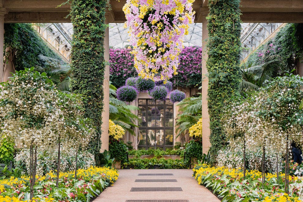 10 best botanical gardens across the nation for 2026
