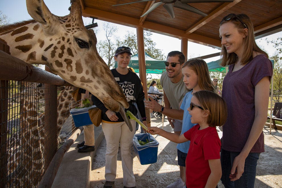 Expedition Africa at Oklahoma City Zoo: 2026 USA TODAY 10BEST