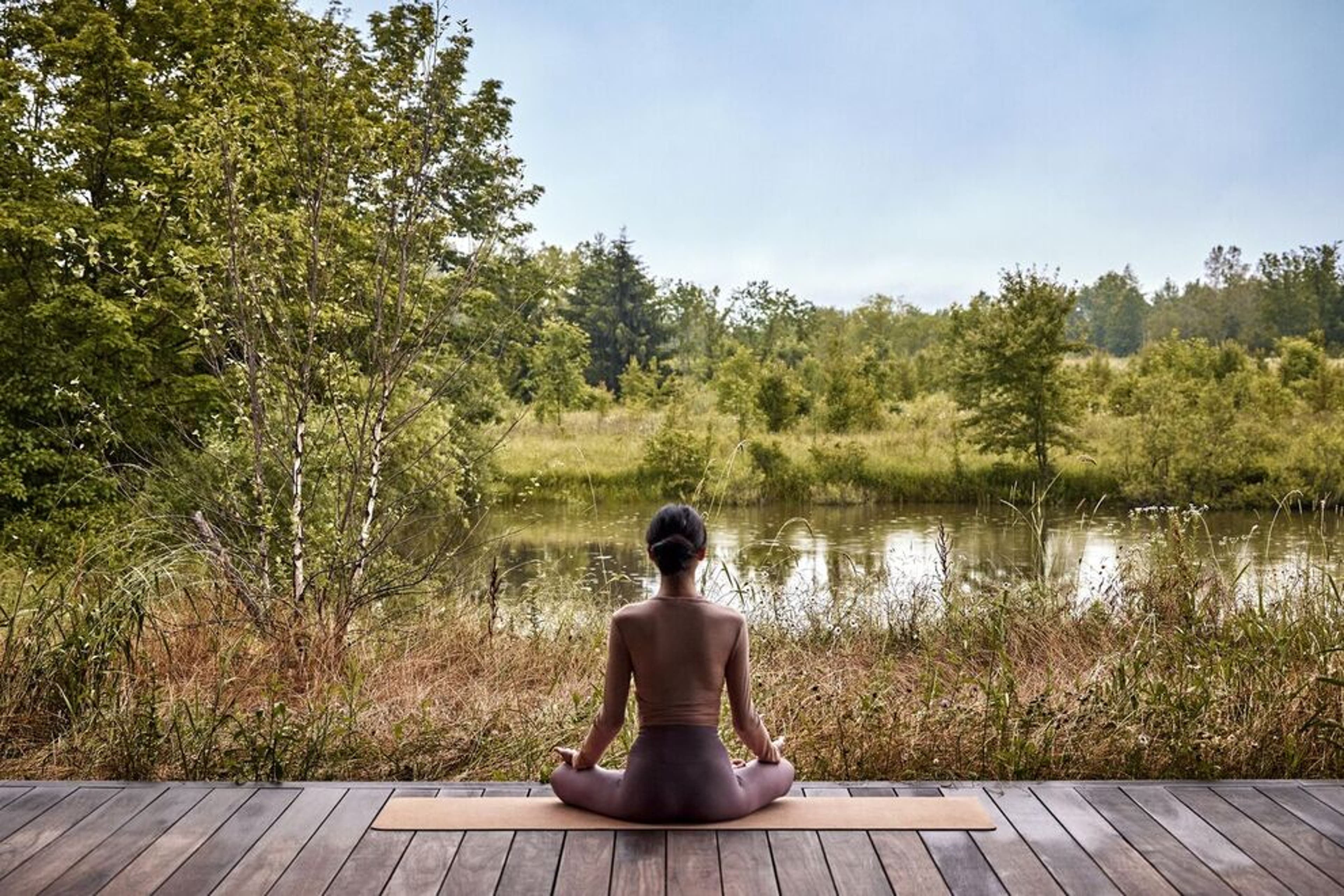 Wildflower Farms offers a great space for visitors to reconnect with nature.