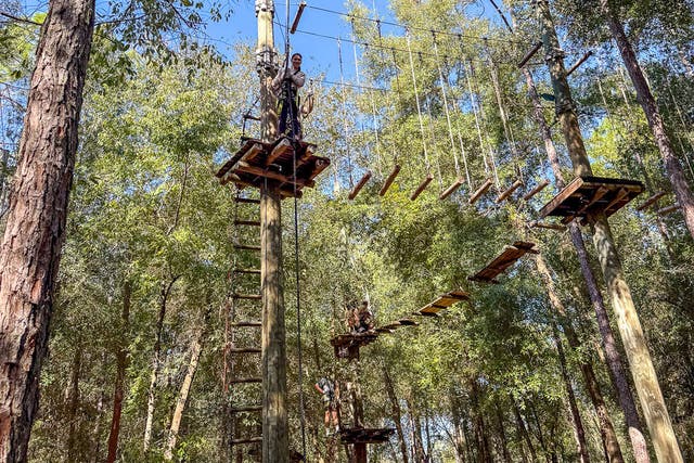 Zip, swing, and climb at the top 10 aerial adventure parks