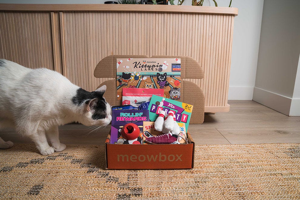 What is the Best Pet Subscription Box for 2026?