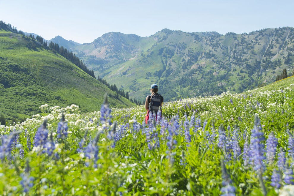 21 hiking essentials to pack for spring adventures