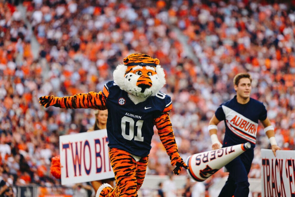 10 college mascots that fans love most - USA Today