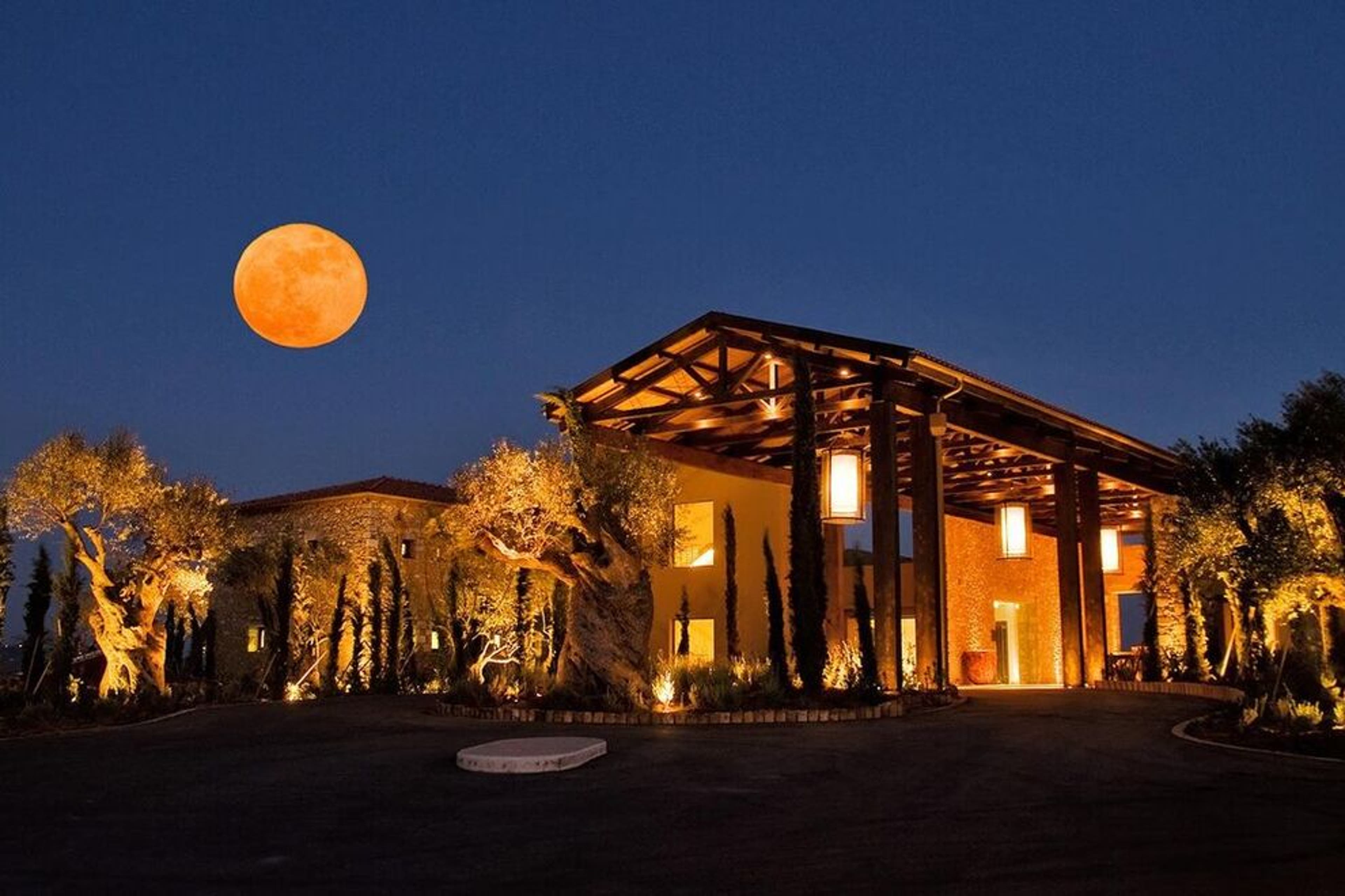 Costa Navarino astronomy nights experiences in Messinia, Greece.