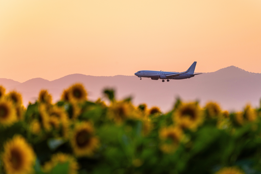 When will airfare prices go down? 4 flight deals to book now