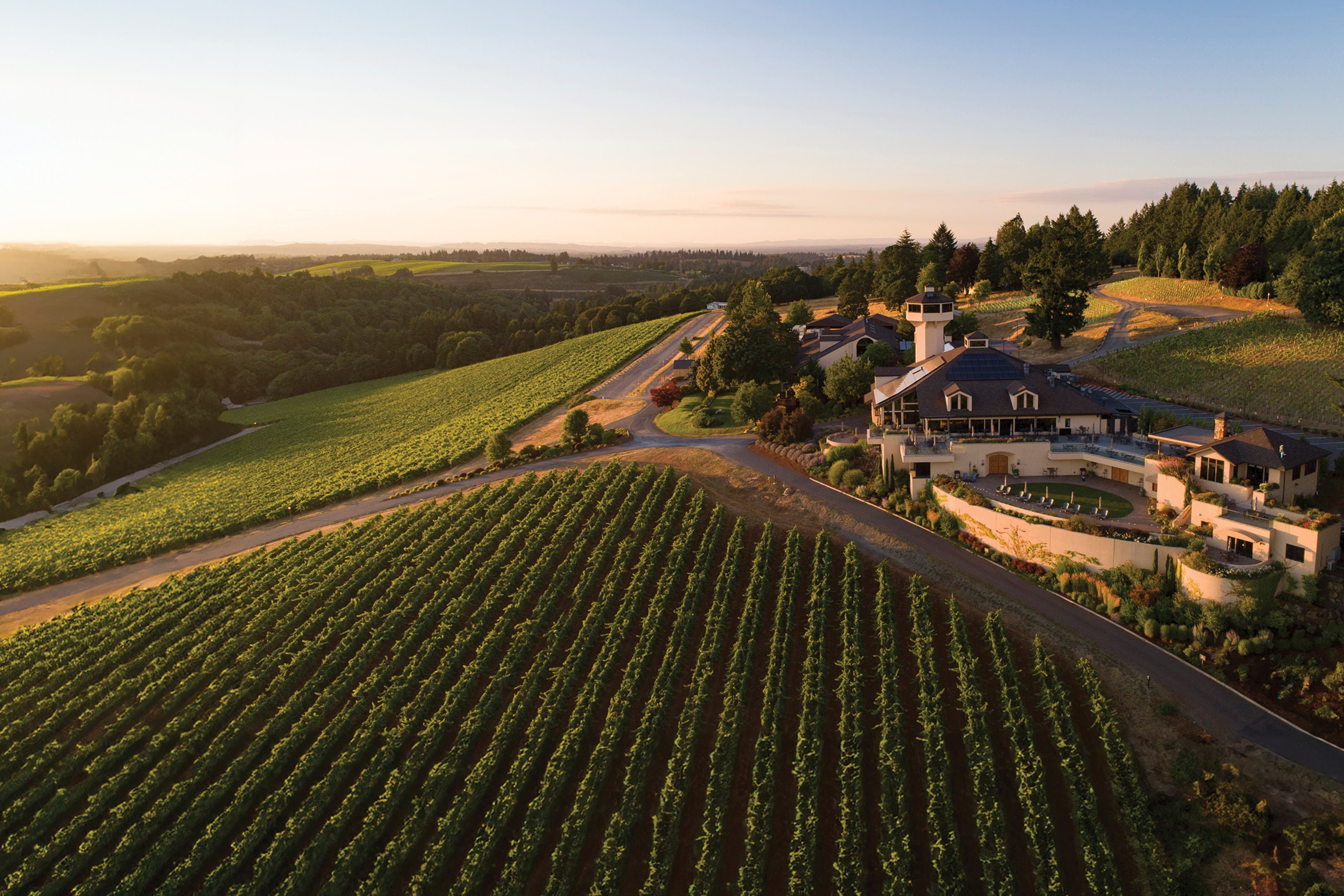 Best Wine Tasting Room