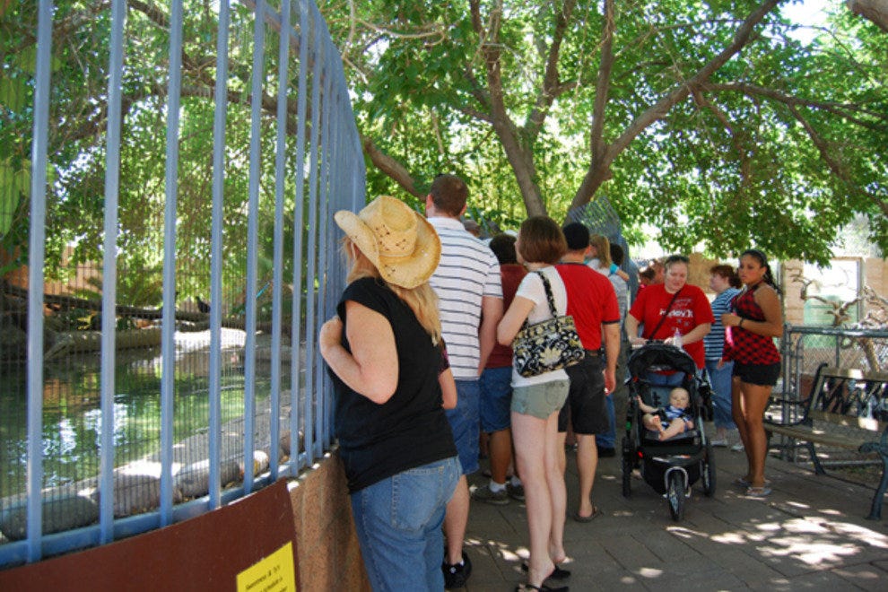 Southern Nevada ZoologicalBotanical Park Las Vegas Attractions Review