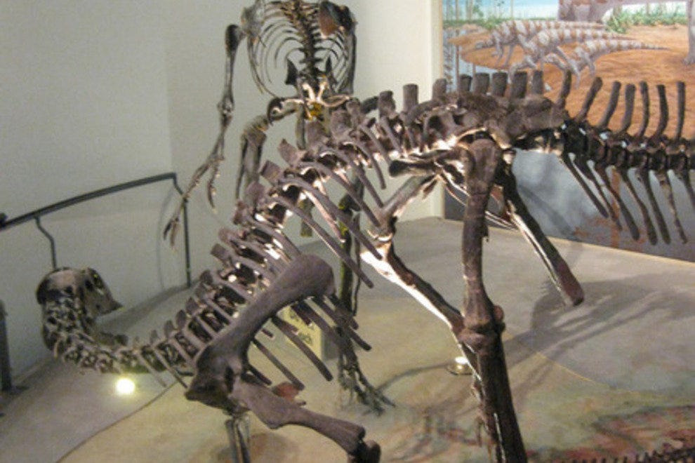 Academy of Natural Sciences