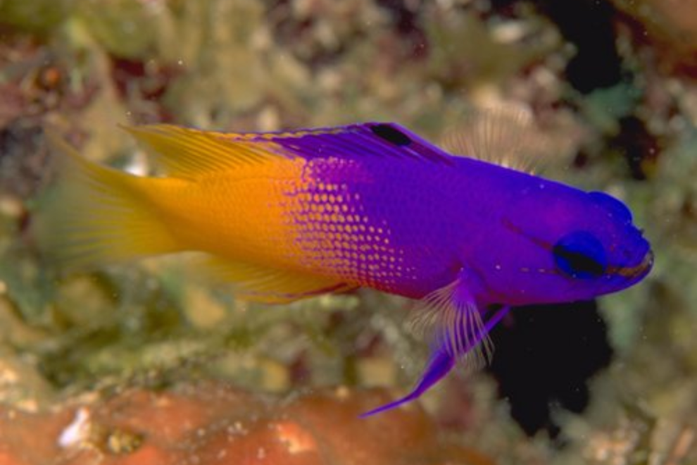 Dallas World Aquarium Dallas Attractions Review 10Best Experts and